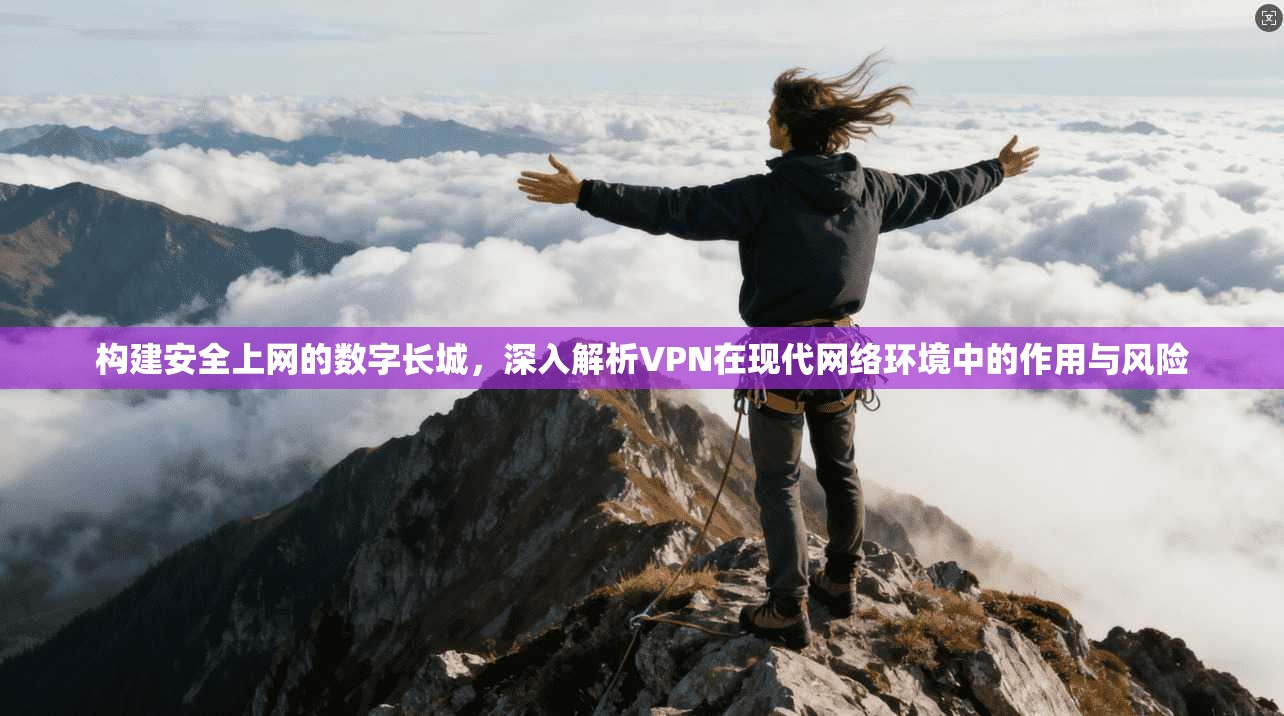 构建安全上网的数字长城,深入解析VPN在现代网络环境中的作用与风险 构建安全上网的数字长城,深入解析VPN在现代网络环境中的作用与风险