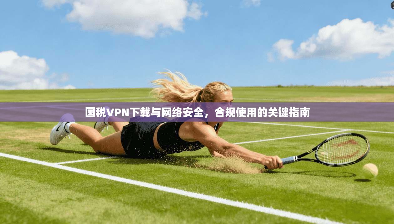 国税VPN下载与网络安全，合规使用的关键指南