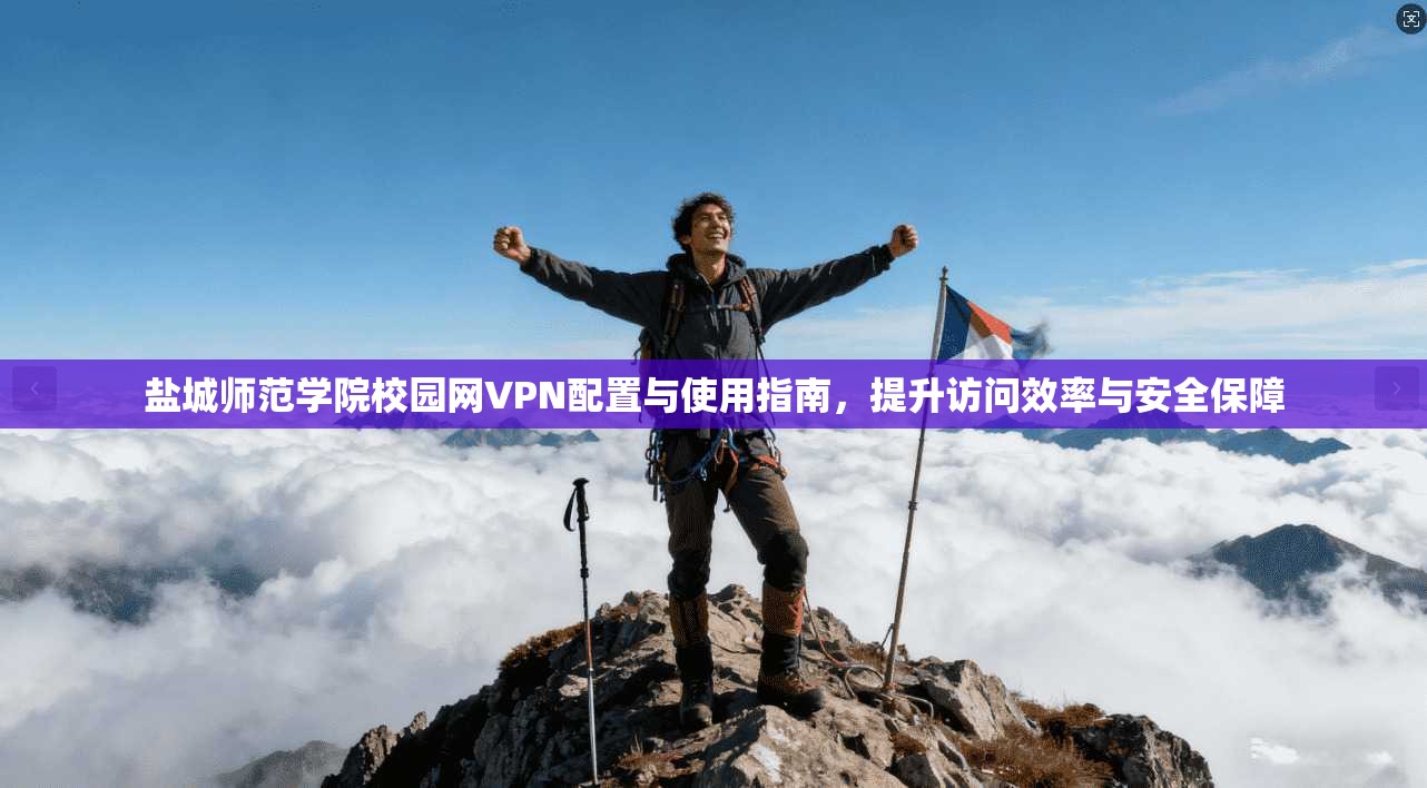 盐城师范学院校园网VPN配置与使用指南，提升访问效率与安全保障