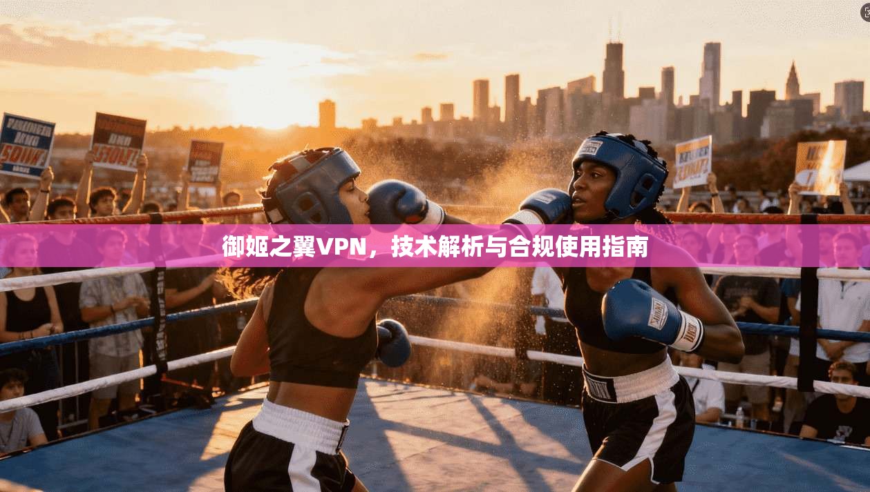 御姬之翼VPN，技术解析与合规使用指南