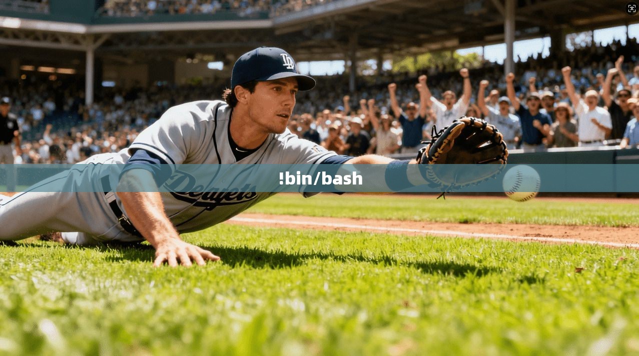 !bin/bash