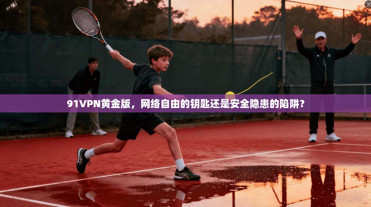 91VPN黄金版，网络自由的钥匙还是安全隐患的陷阱？