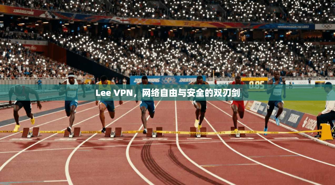 Lee VPN，网络自由与安全的双刃剑