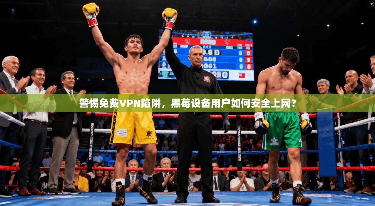 警惕免费VPN陷阱，黑莓设备用户如何安全上网？