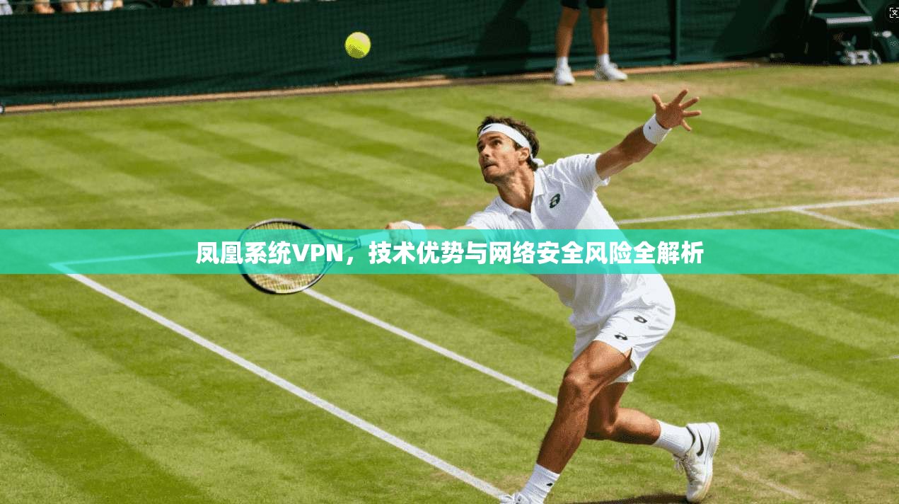凤凰系统VPN，技术优势与网络安全风险全解析