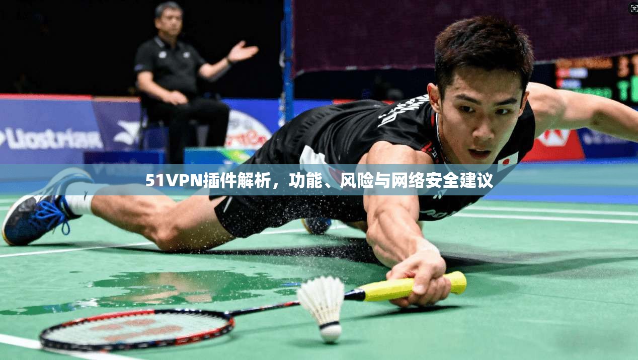 51VPN插件解析，功能、风险与网络安全建议
