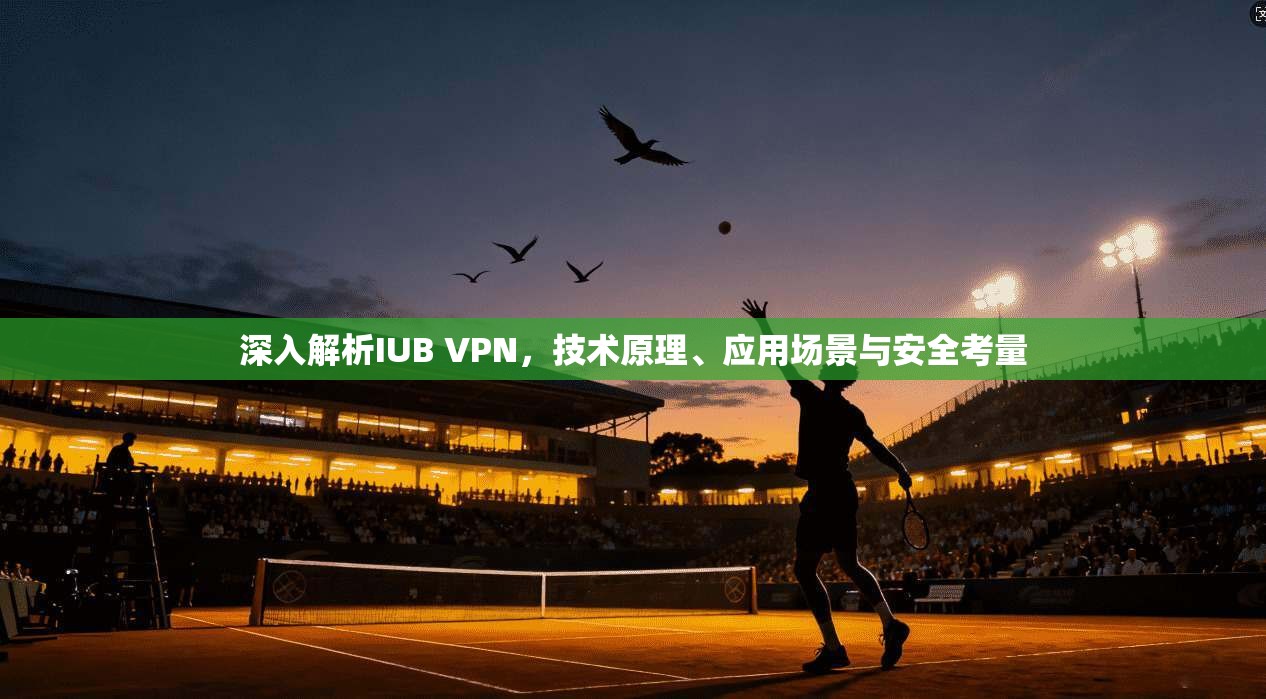 深入解析IUB VPN，技术原理、应用场景与安全考量