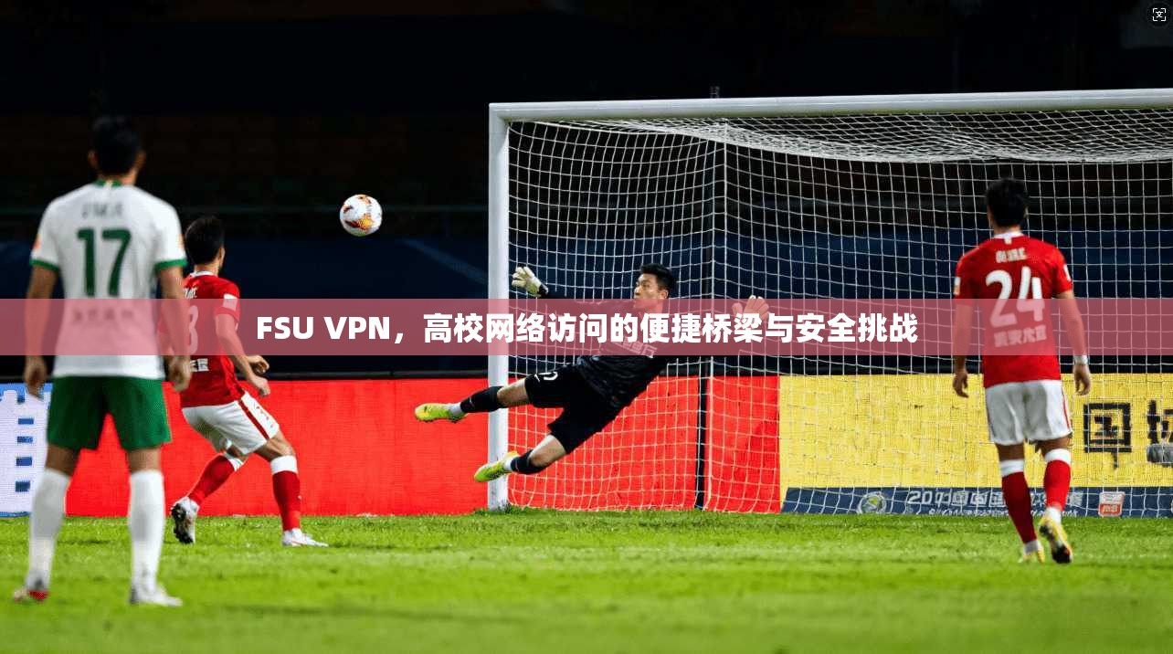 FSU VPN，高校网络访问的便捷桥梁与安全挑战