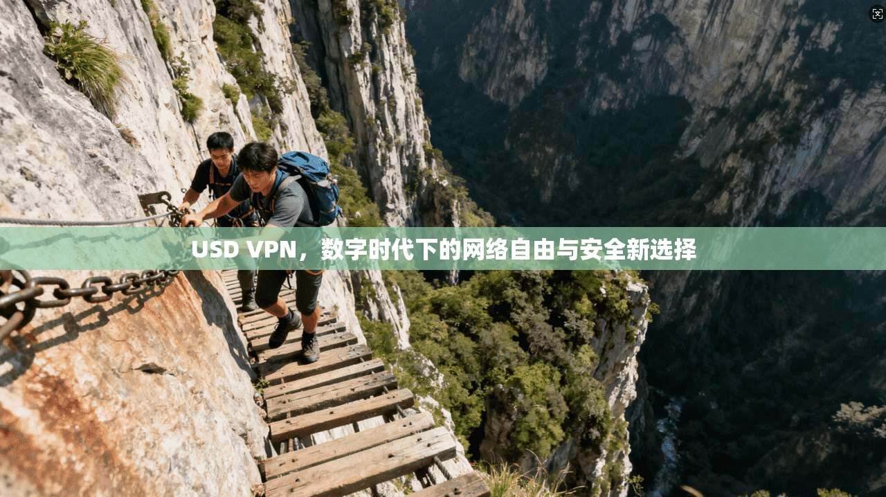 USD VPN,数字时代下的网络自由与安全新选择 USD VPN,数字时代下的网络自由与安全新选择