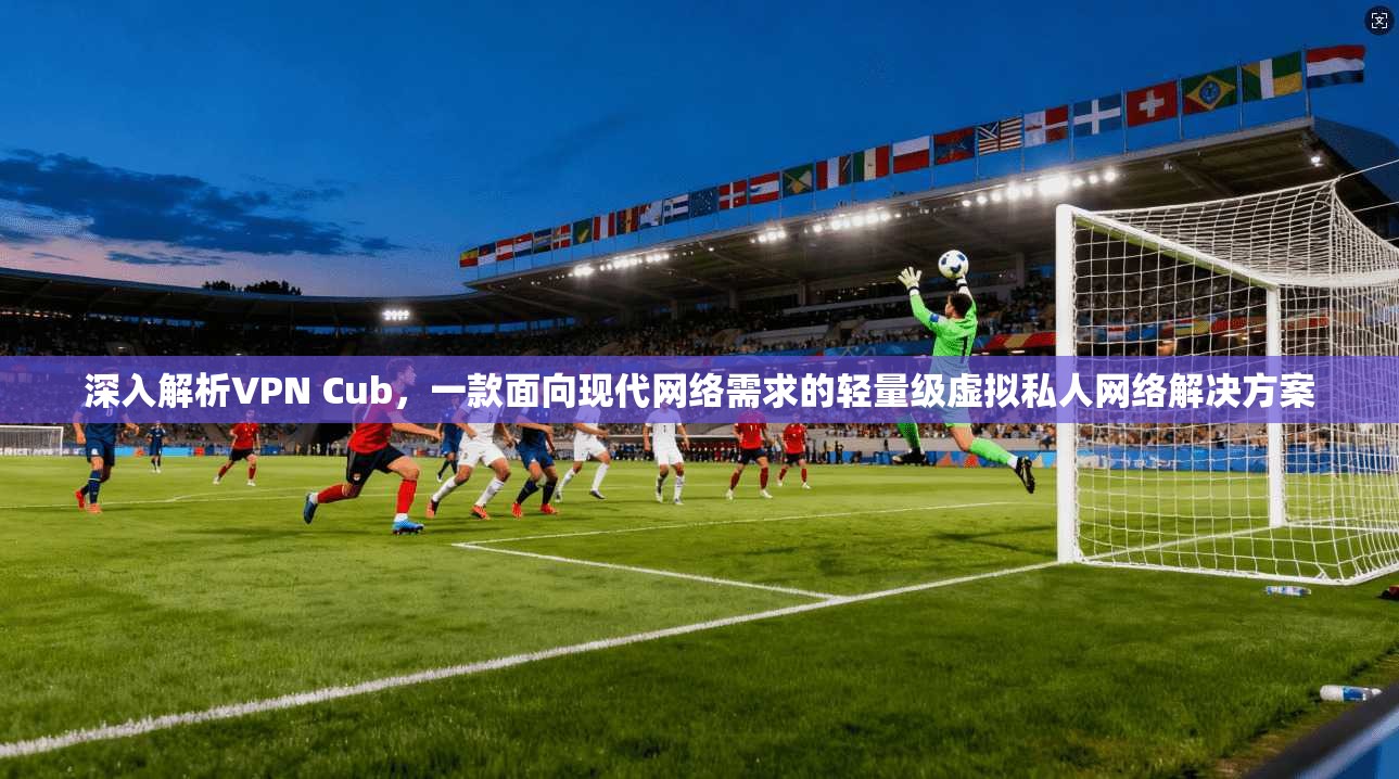 深入解析VPN Cub，一款面向现代网络需求的轻量级虚拟私人网络解决方案