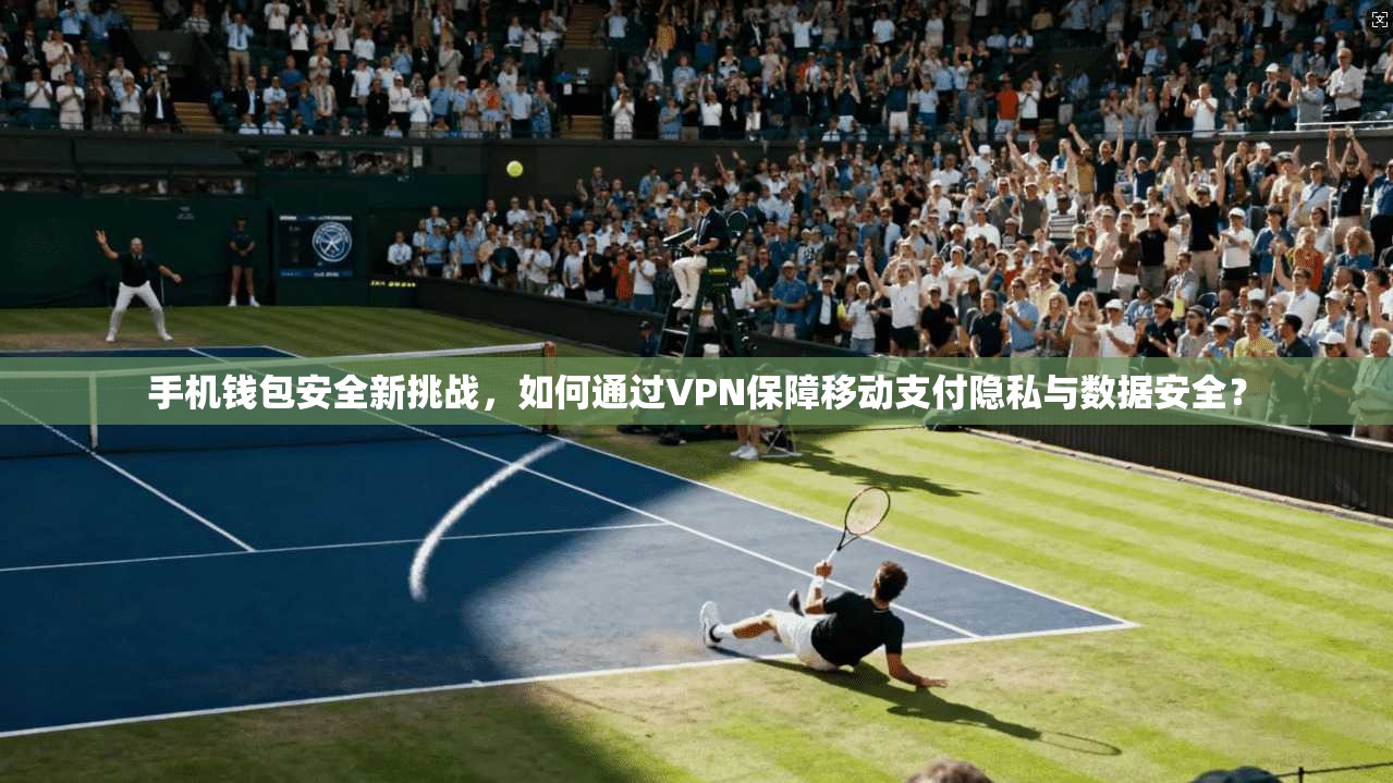 手机钱包安全新挑战，如何通过VPN保障移动支付隐私与数据安全？