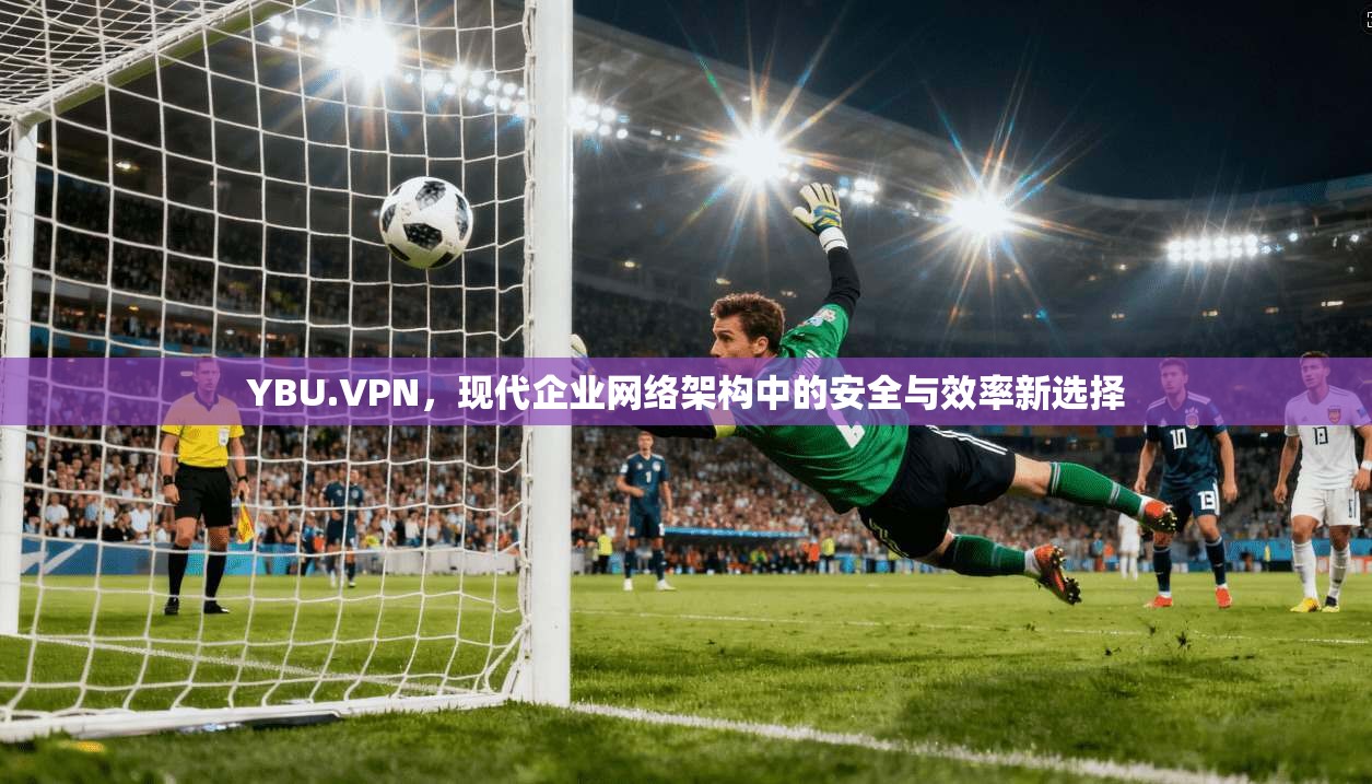 YBU.VPN，现代企业网络架构中的安全与效率新选择