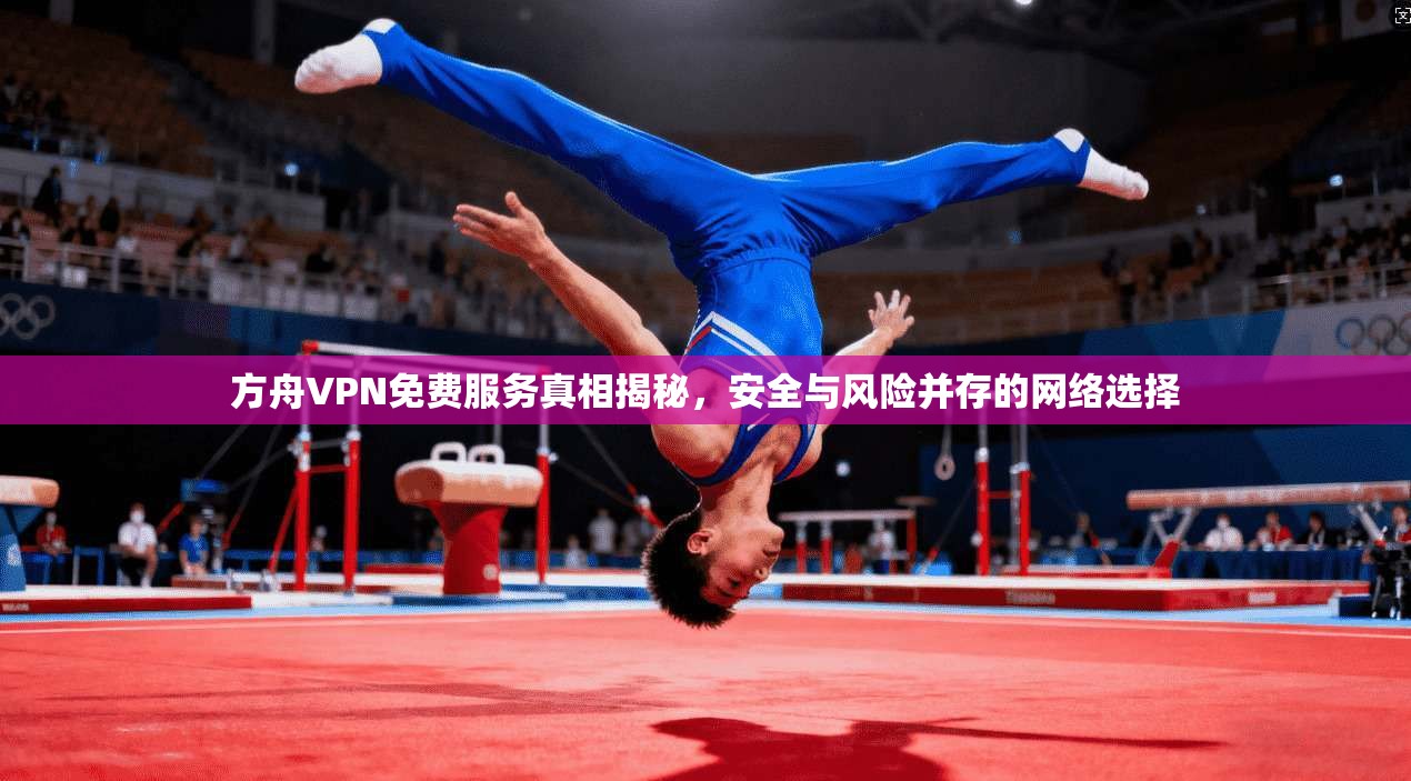 方舟VPN免费服务真相揭秘，安全与风险并存的网络选择