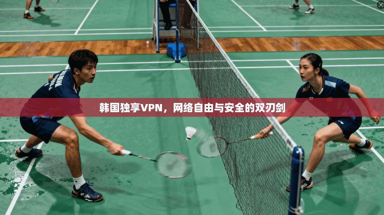 韩国独享VPN，网络自由与安全的双刃剑