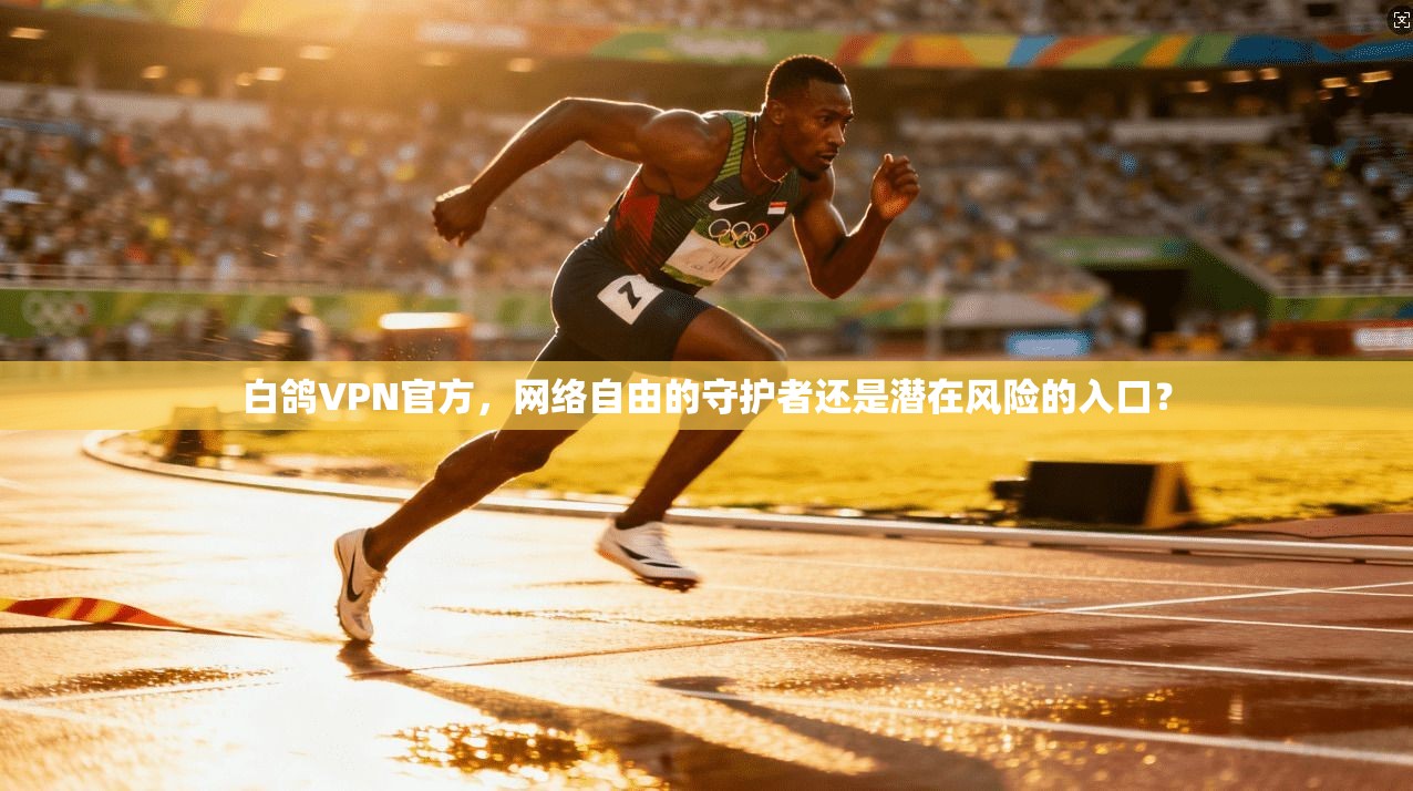 白鸽VPN官方，网络自由的守护者还是潜在风险的入口？