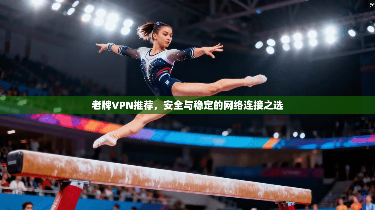 老牌VPN推荐,安全与稳定的网络连接之选 老牌VPN推荐,安全与稳定的网络连接之选