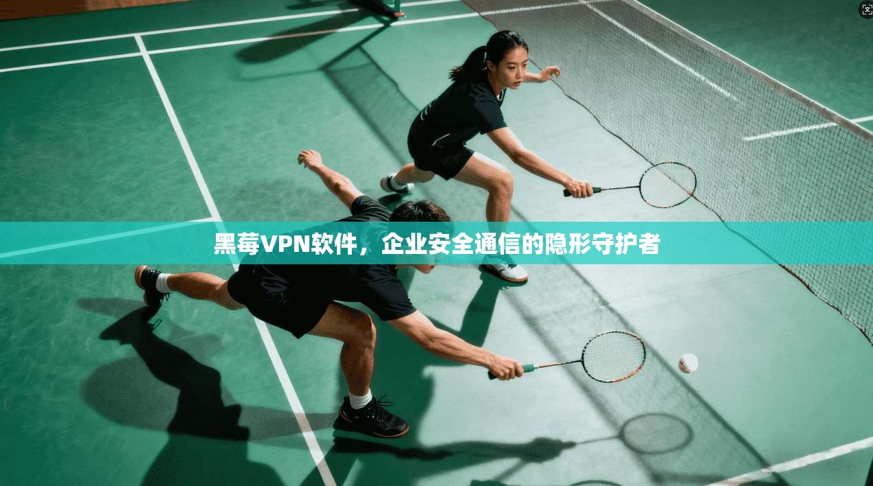 黑莓VPN软件，企业安全通信的隐形守护者