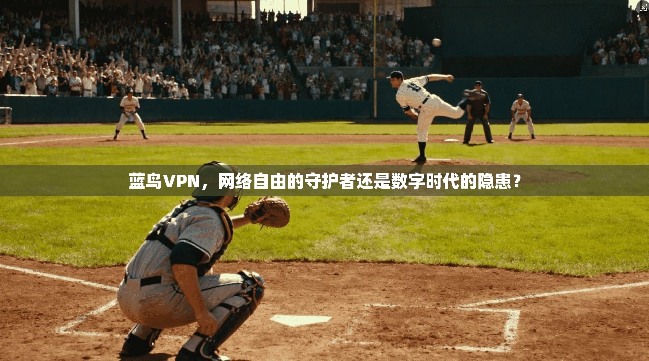 蓝鸟VPN，网络自由的守护者还是数字时代的隐患？