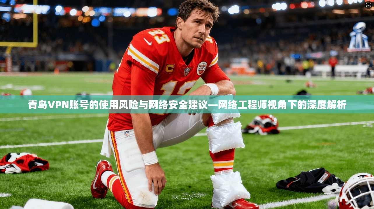 青鸟VPN账号的使用风险与网络安全建议—网络工程师视角下的深度解析