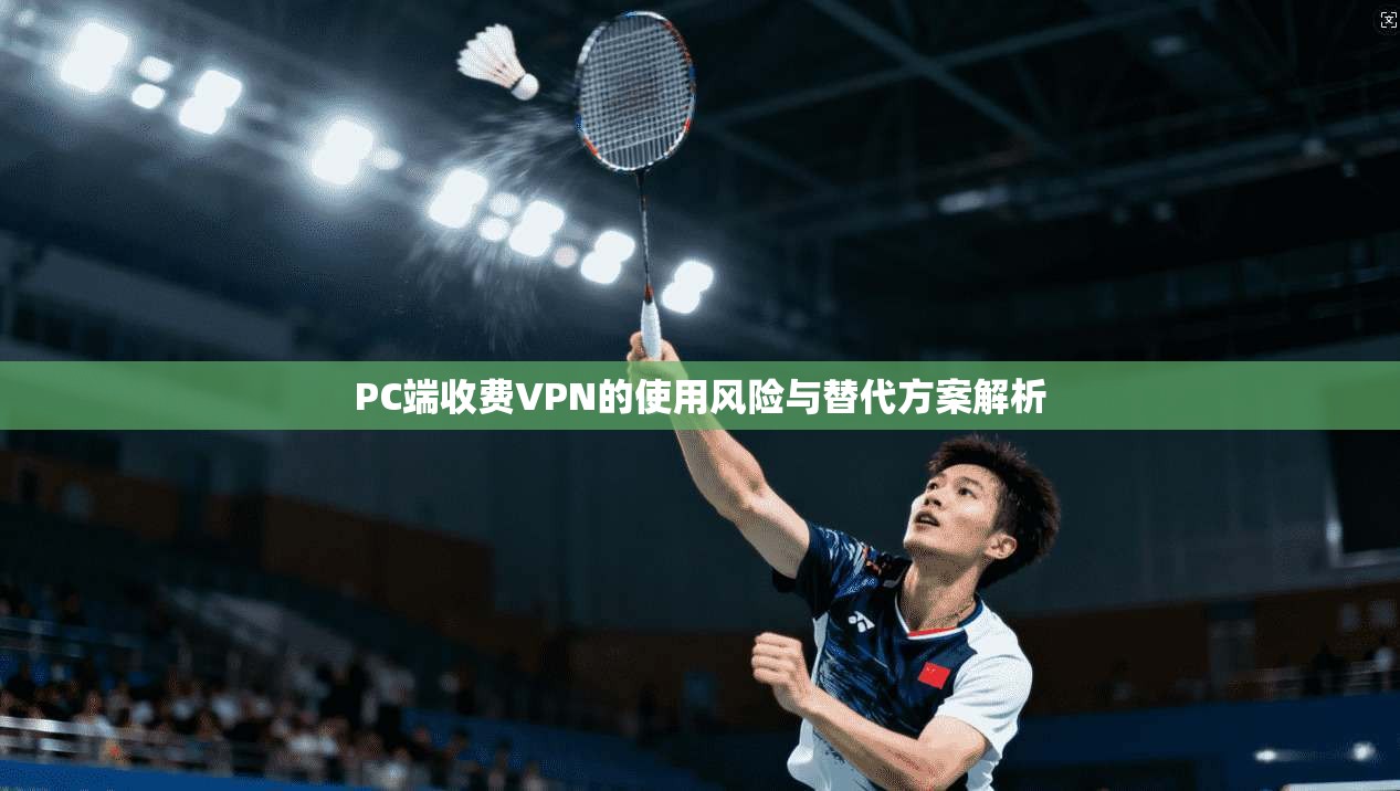 PC端收费VPN的使用风险与替代方案解析