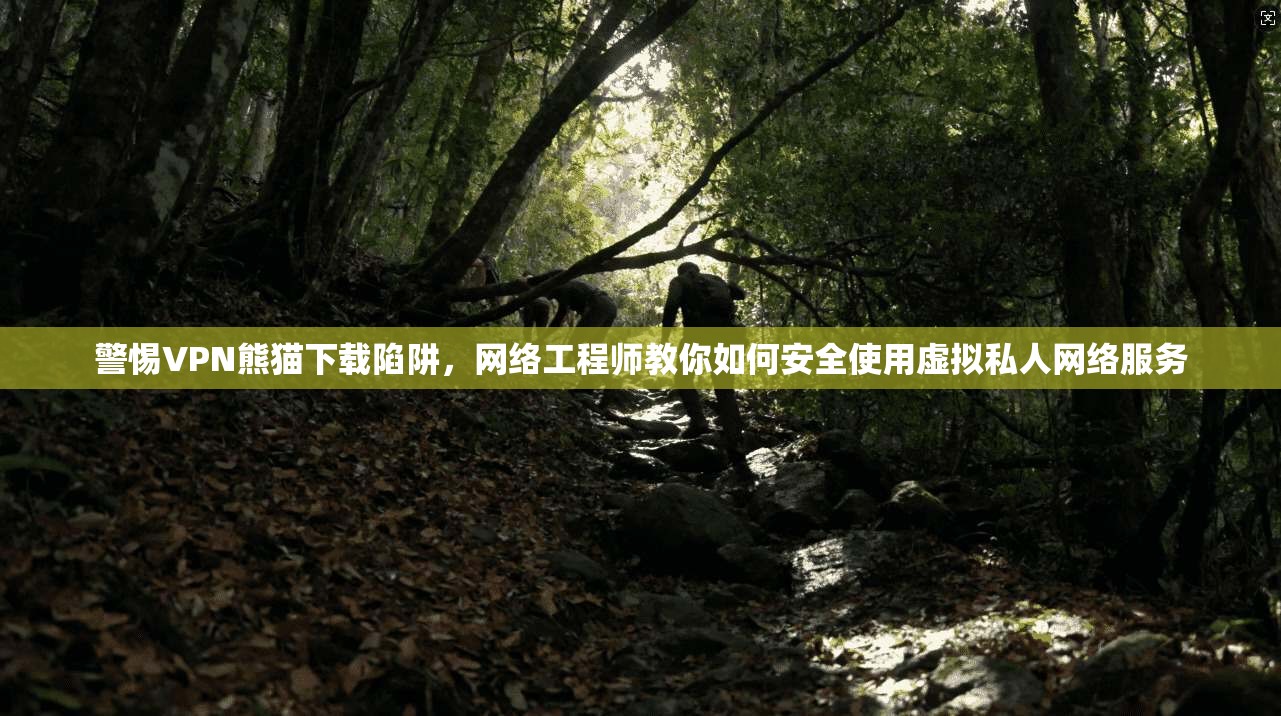 警惕VPN熊猫下载陷阱，网络工程师教你如何安全使用虚拟私人网络服务