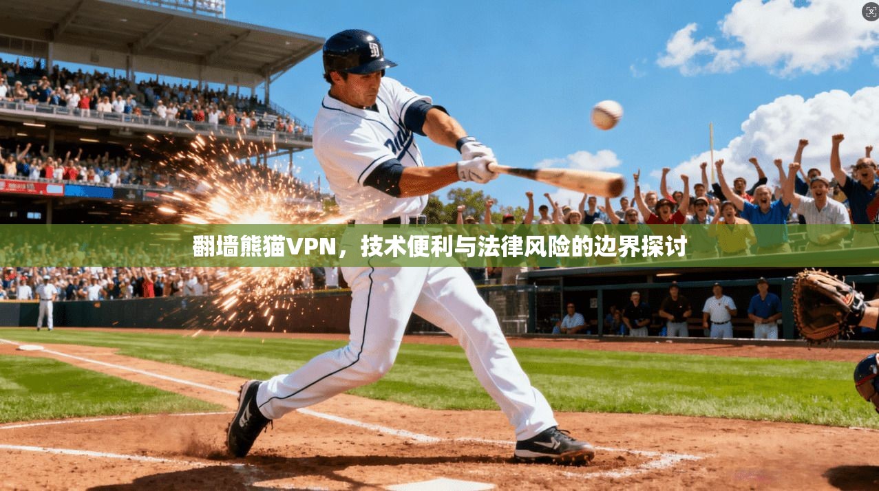 翻墙熊猫VPN，技术便利与法律风险的边界探讨