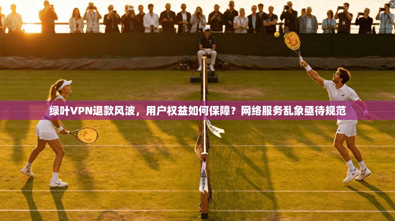 绿叶VPN退款风波，用户权益如何保障？网络服务乱象亟待规范