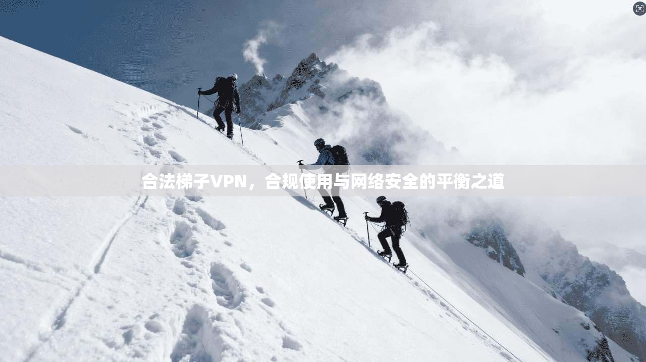 合法梯子VPN，合规使用与网络安全的平衡之道