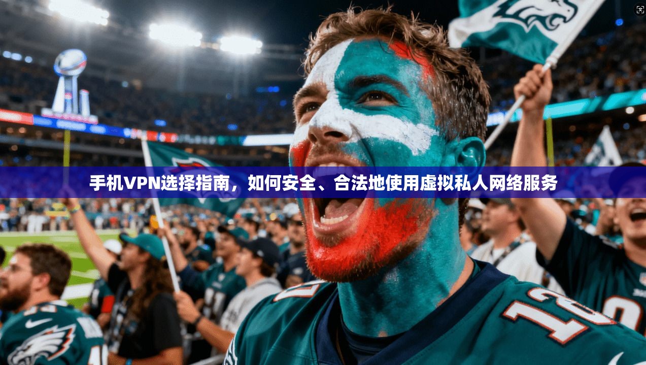 手机VPN选择指南，如何安全、合法地使用虚拟私人网络服务
