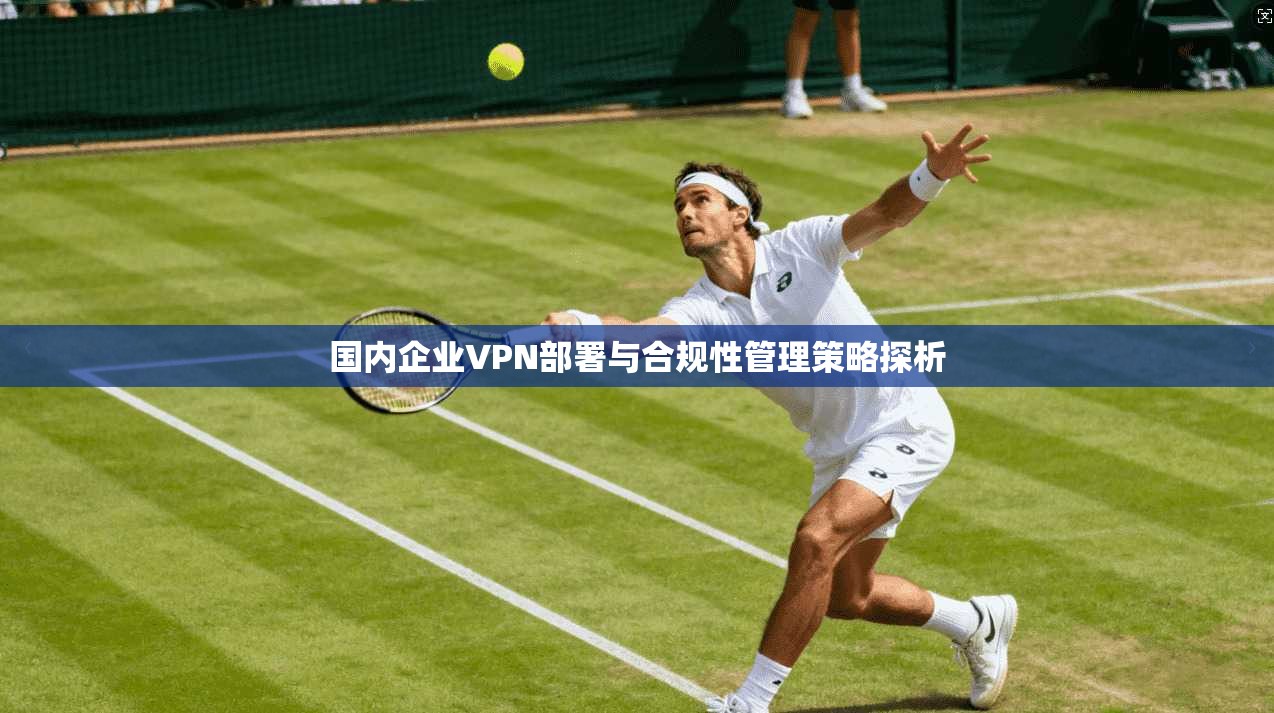 国内企业VPN部署与合规性管理策略探析