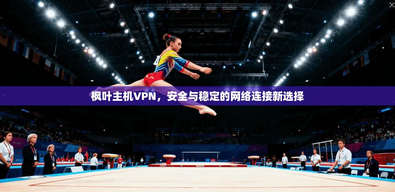 枫叶主机VPN，安全与稳定的网络连接新选择