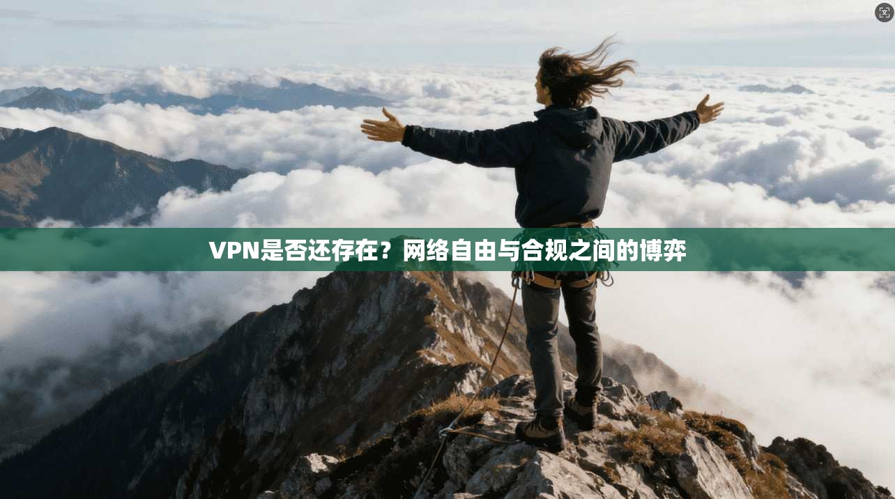 VPN是否还存在？网络自由与合规之间的博弈