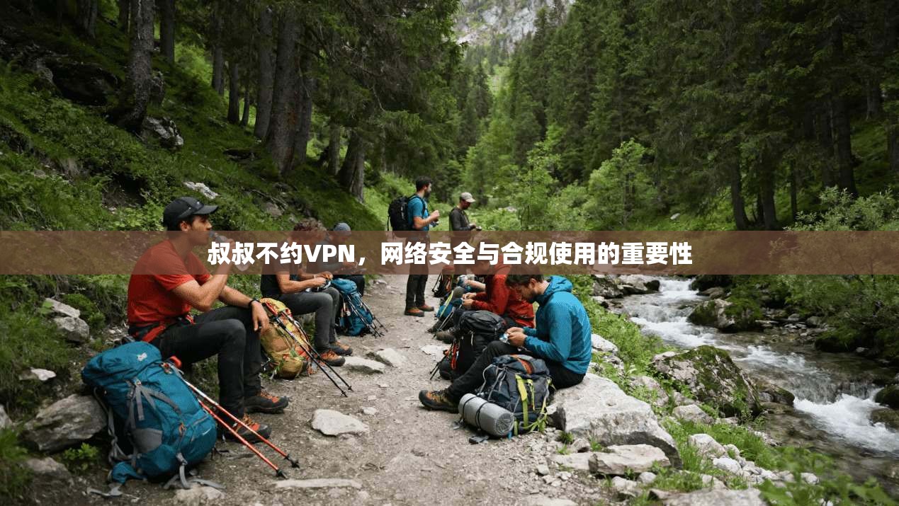 叔叔不约VPN，网络安全与合规使用的重要性