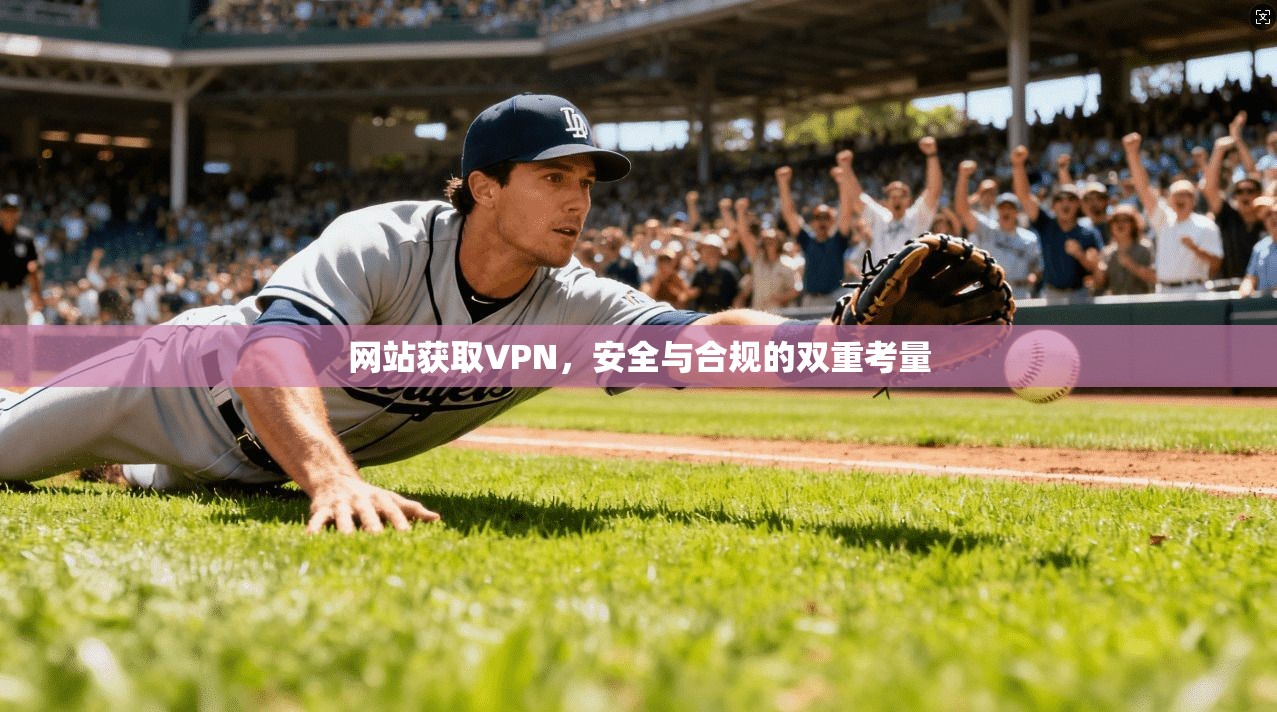 网站获取VPN，安全与合规的双重考量