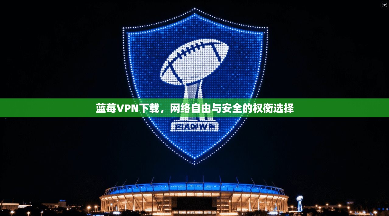 蓝莓VPN下载，网络自由与安全的权衡选择