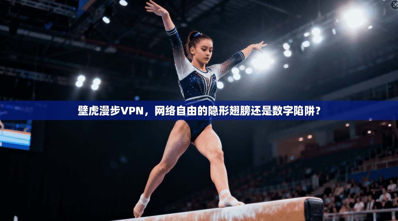 壁虎漫步VPN，网络自由的隐形翅膀还是数字陷阱？