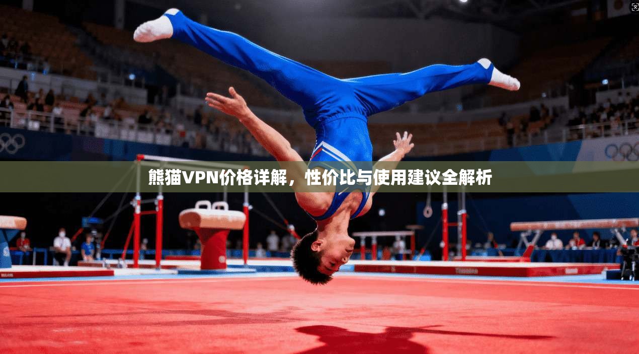 熊猫VPN价格详解,性价比与使用建议全解析 熊猫VPN价格详解,性价比与使用建议全解析