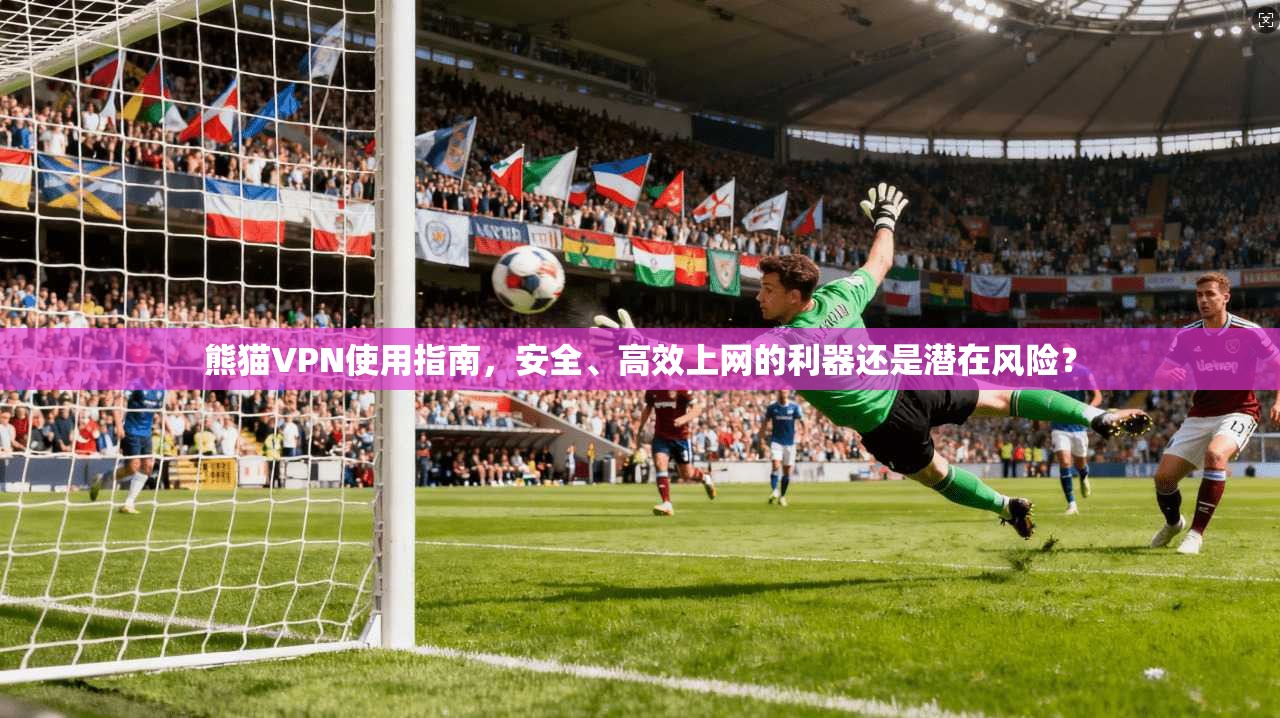 熊猫VPN使用指南，安全、高效上网的利器还是潜在风险？