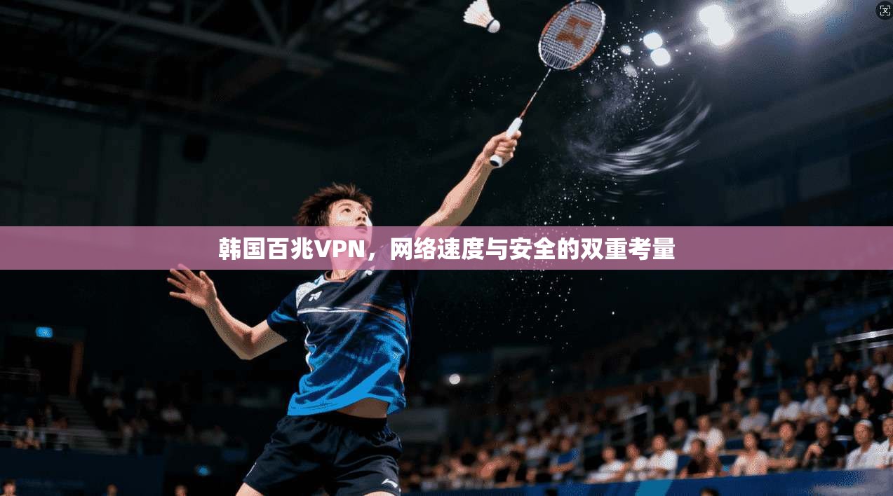 韩国百兆VPN，网络速度与安全的双重考量