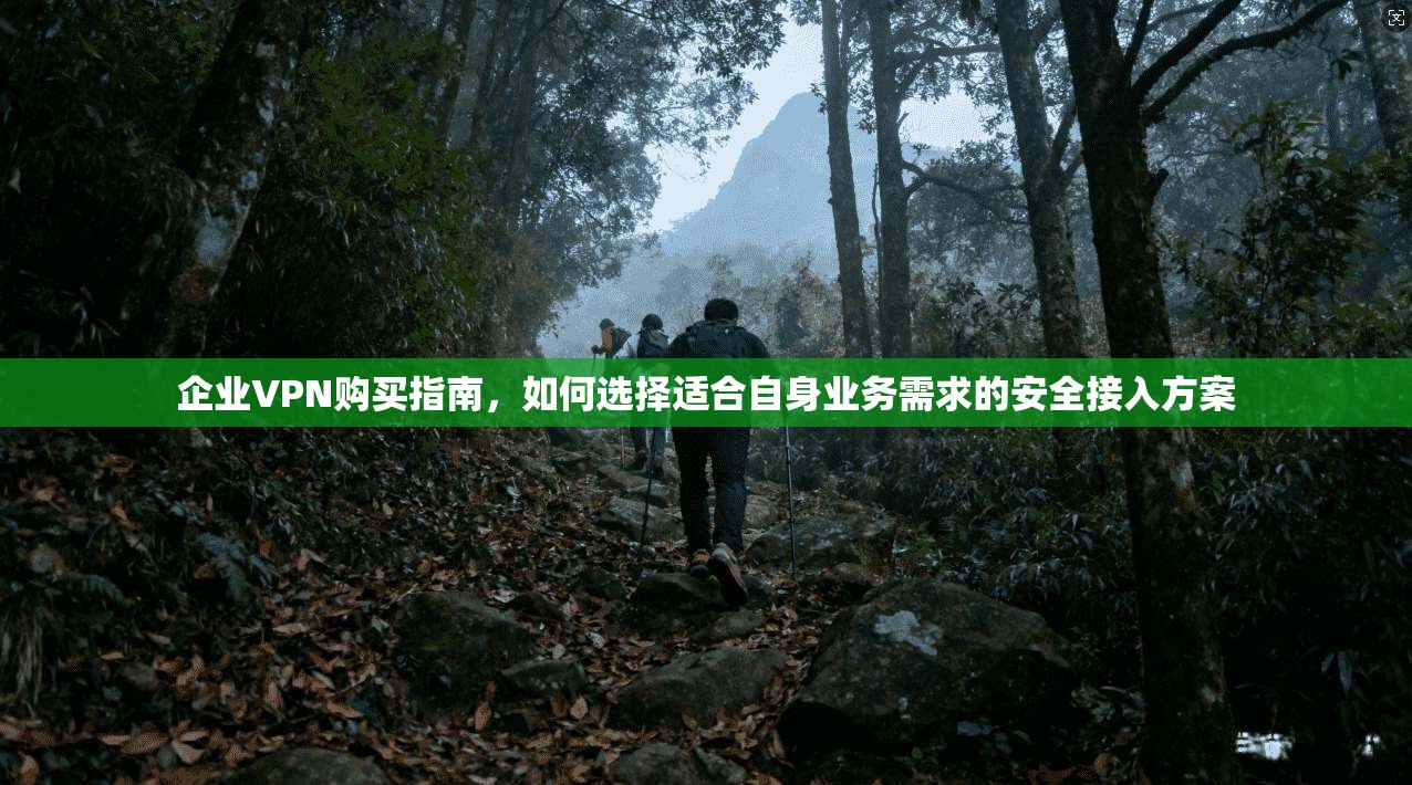企业VPN购买指南，如何选择适合自身业务需求的安全接入方案