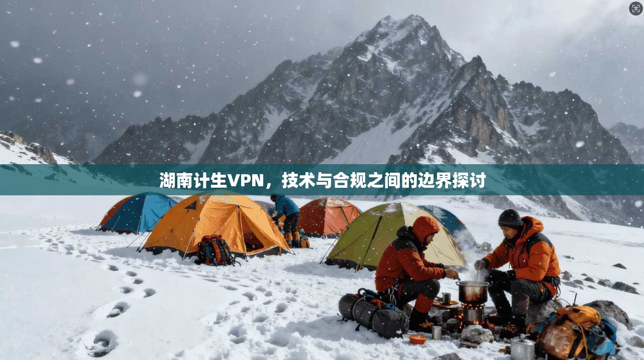 湖南计生VPN,技术与合规之间的边界探讨 湖南计生VPN,技术与合规之间的边界探讨