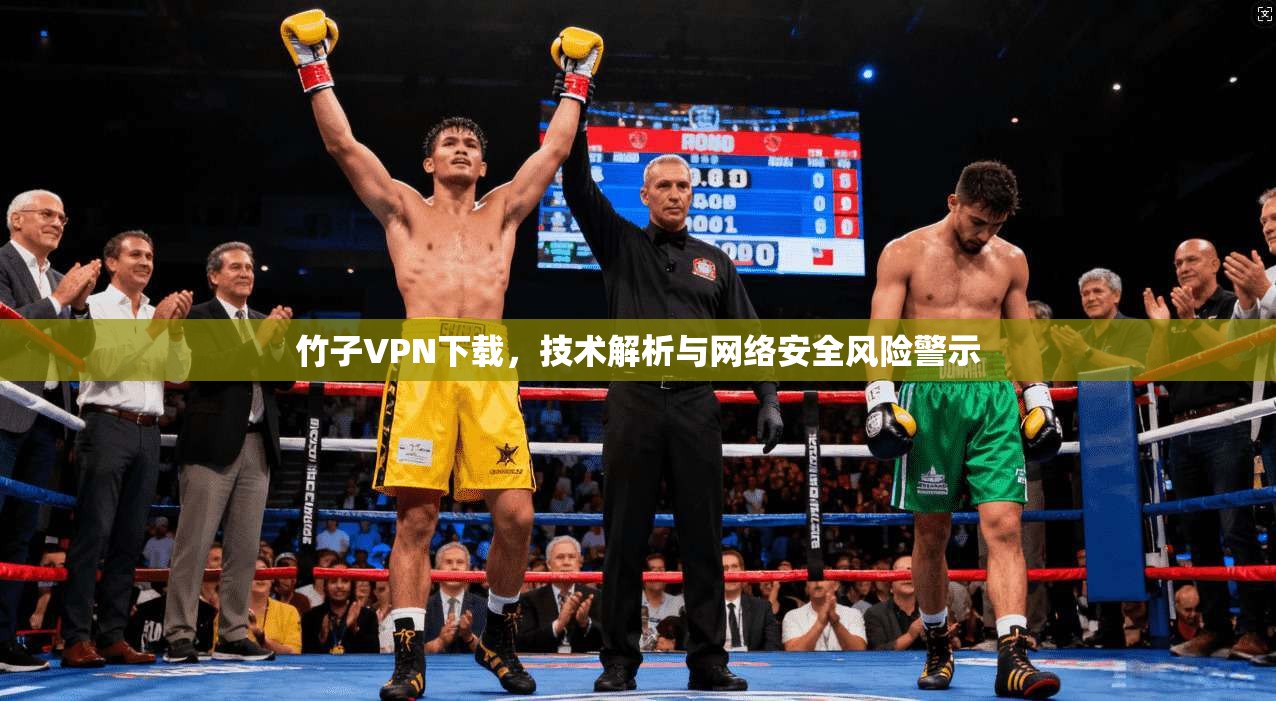 竹子VPN下载，技术解析与网络安全风险警示