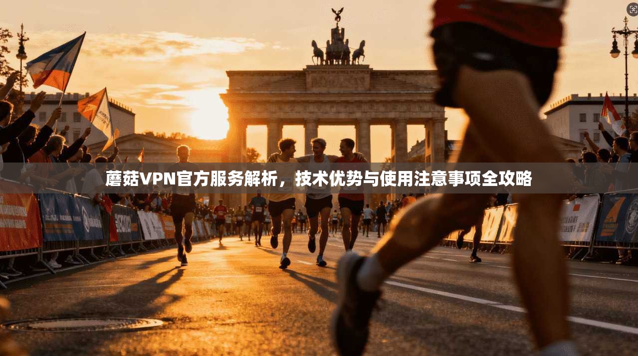 蘑菇VPN官方服务解析，技术优势与使用注意事项全攻略