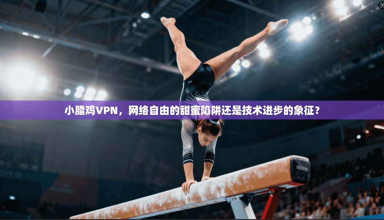 小腊鸡VPN，网络自由的甜蜜陷阱还是技术进步的象征？