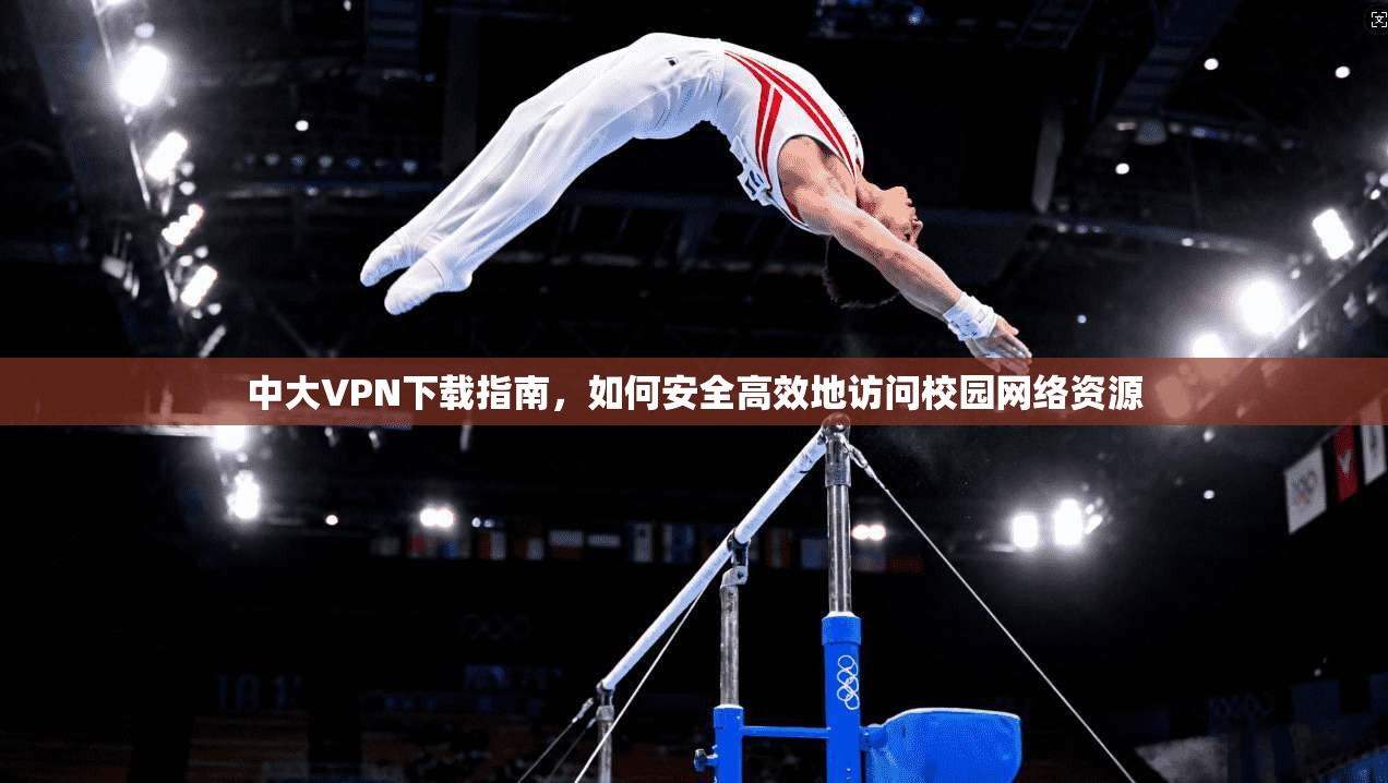 中大VPN下载指南，如何安全高效地访问校园网络资源