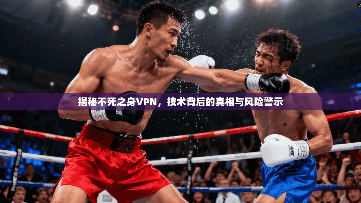揭秘不死之身VPN，技术背后的真相与风险警示