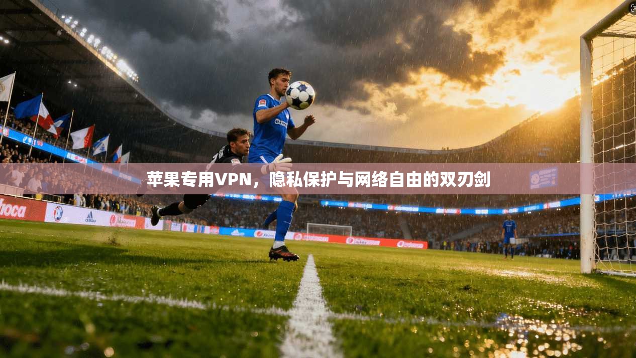 苹果专用VPN，隐私保护与网络自由的双刃剑