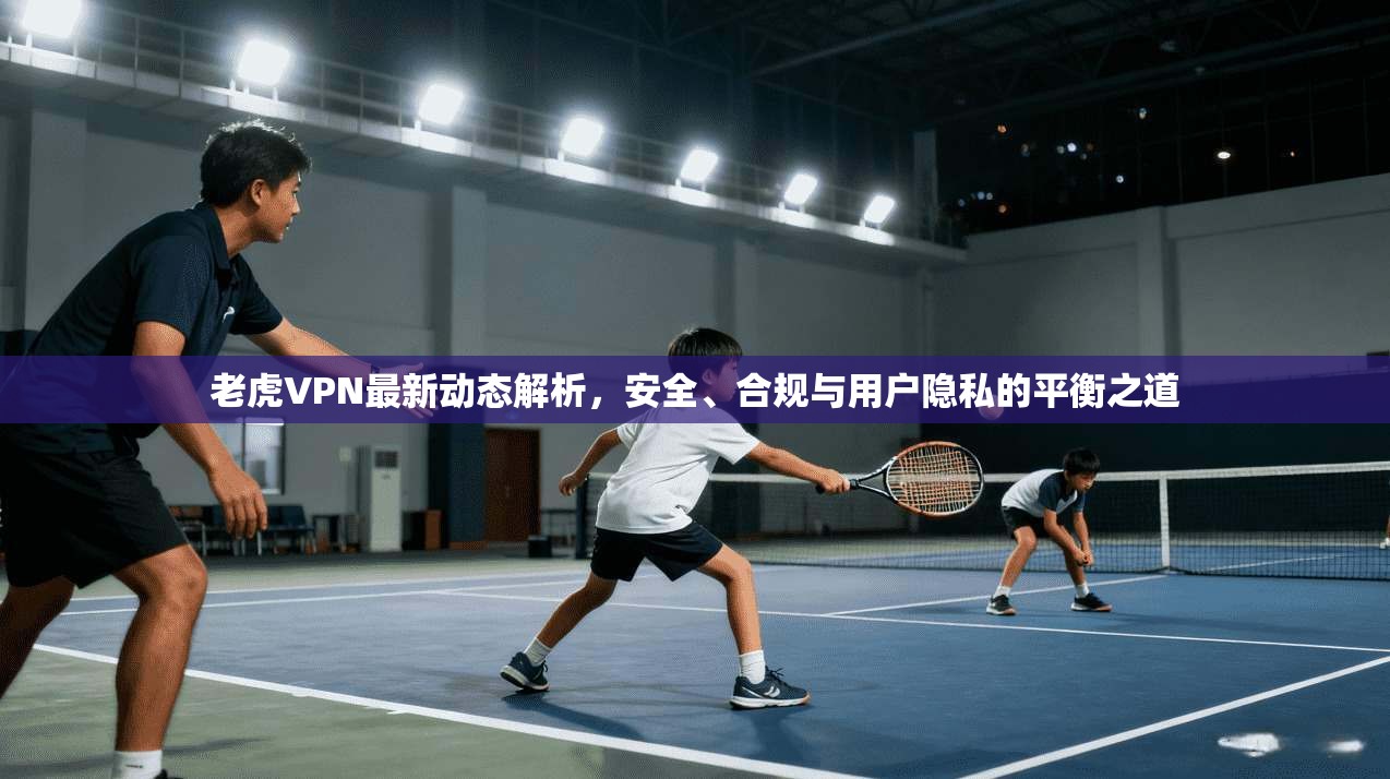 老虎VPN最新动态解析，安全、合规与用户隐私的平衡之道