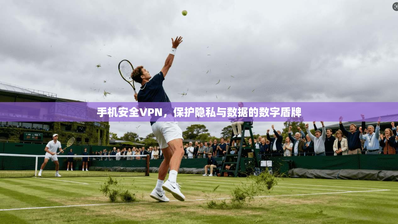 手机安全VPN，保护隐私与数据的数字盾牌