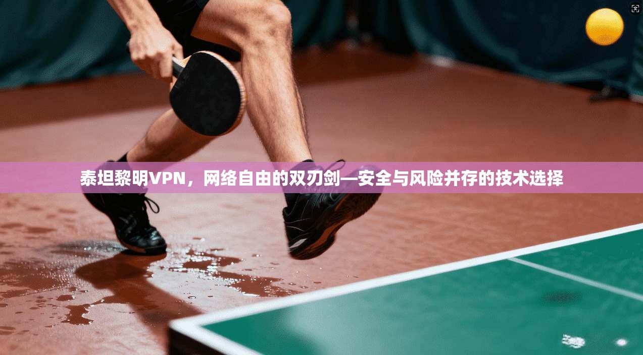 泰坦黎明VPN，网络自由的双刃剑—安全与风险并存的技术选择